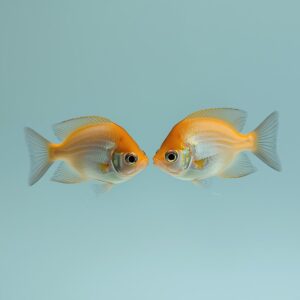 Pisces